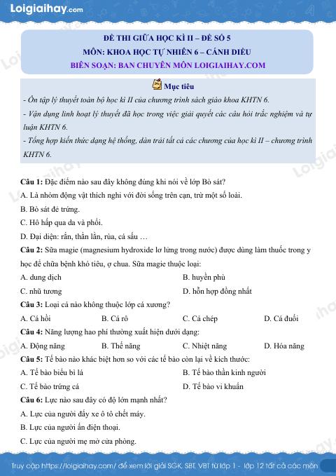 Đề thi giữa kì 2 KHTN 6 Cánh diều - Đề số 5